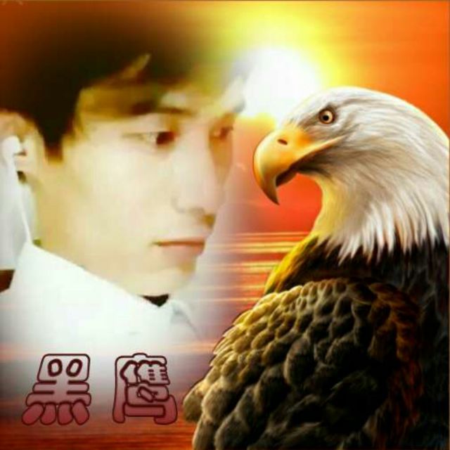 如果能在感动你多一次 - 黑 鹰【】 唱吧,最时尚