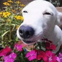 Dw妍妍个人主页- 唱吧,最时尚的手机KTV