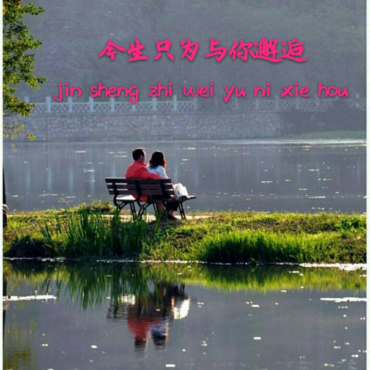 今生只为与你邂逅