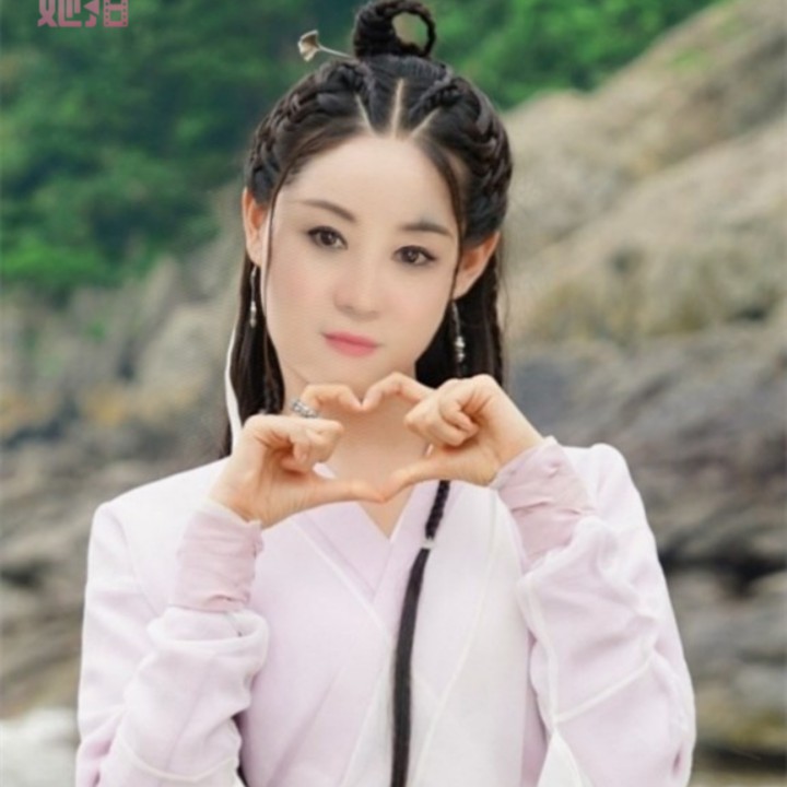 张震岳-再见【粤风慢摇】