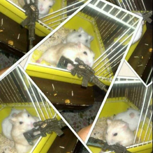 怦然心动【原唱版】