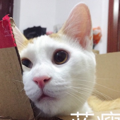 这个人已经与我无关