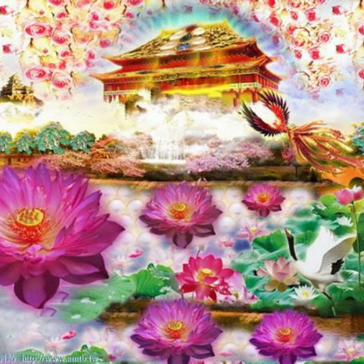 菩提花佛前开