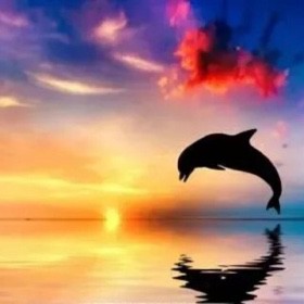 Amazing Grace【蓝调口琴网】