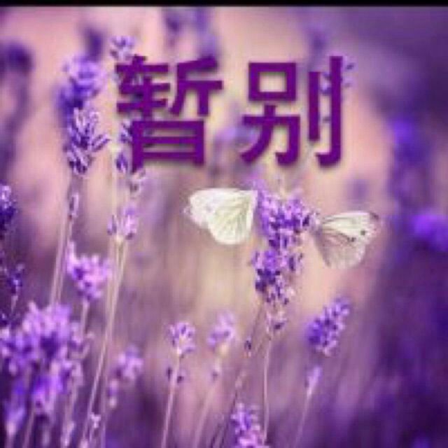豫剧伴奏视频大全,豫剧伴奏大全