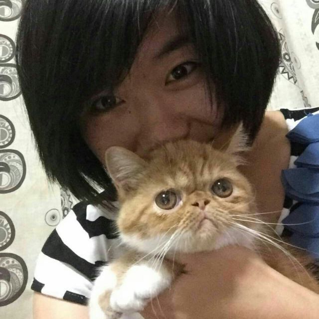 新年打脸歌小苹果伴奏【雨辰制作】