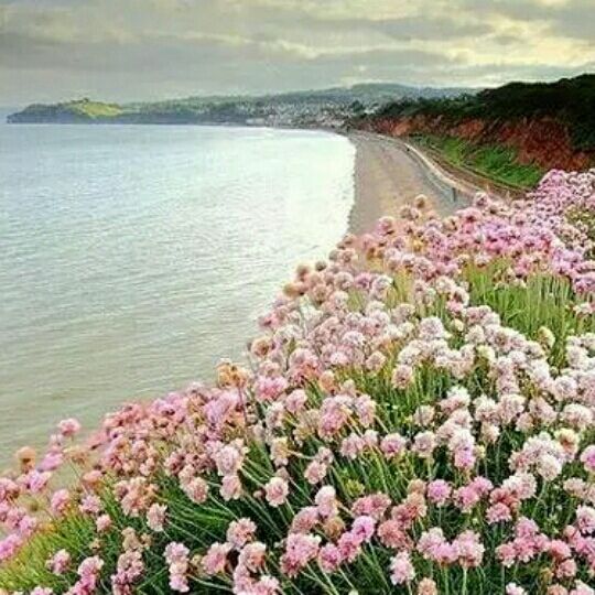 闯码头【冷漠制作】 - wanggf1971 唱吧,最时尚