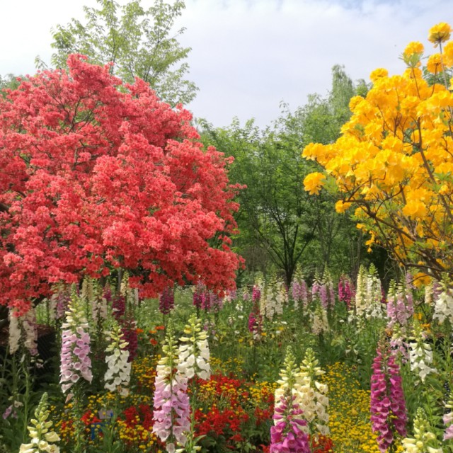 云南山歌流浪歌流浪妹调【DJ】