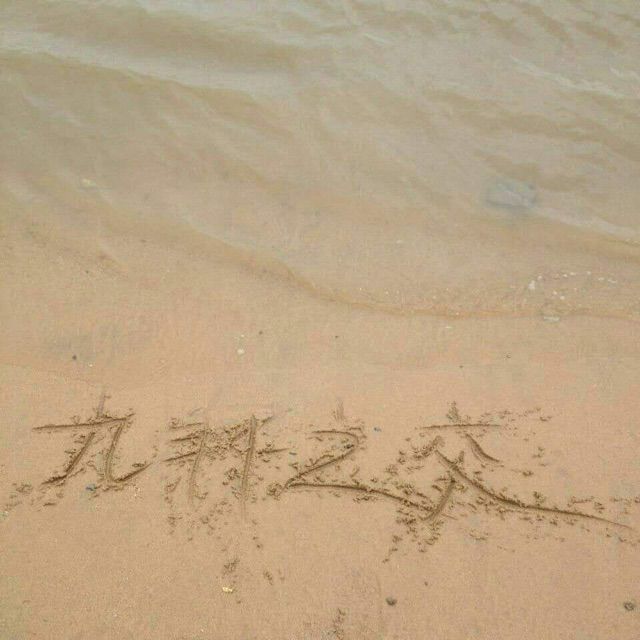 友谊之光【国语版】