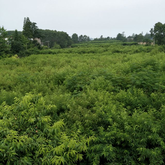 一万个舍不得【DJ】