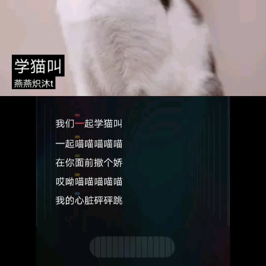 学猫叫