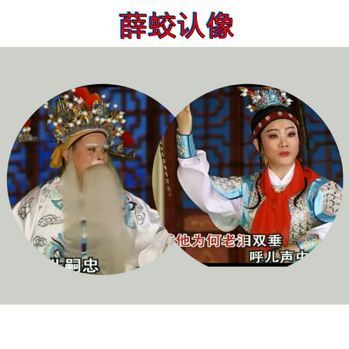 潮剧薛蛟认像选段(一幅画图明真相【带词纯伴奏】