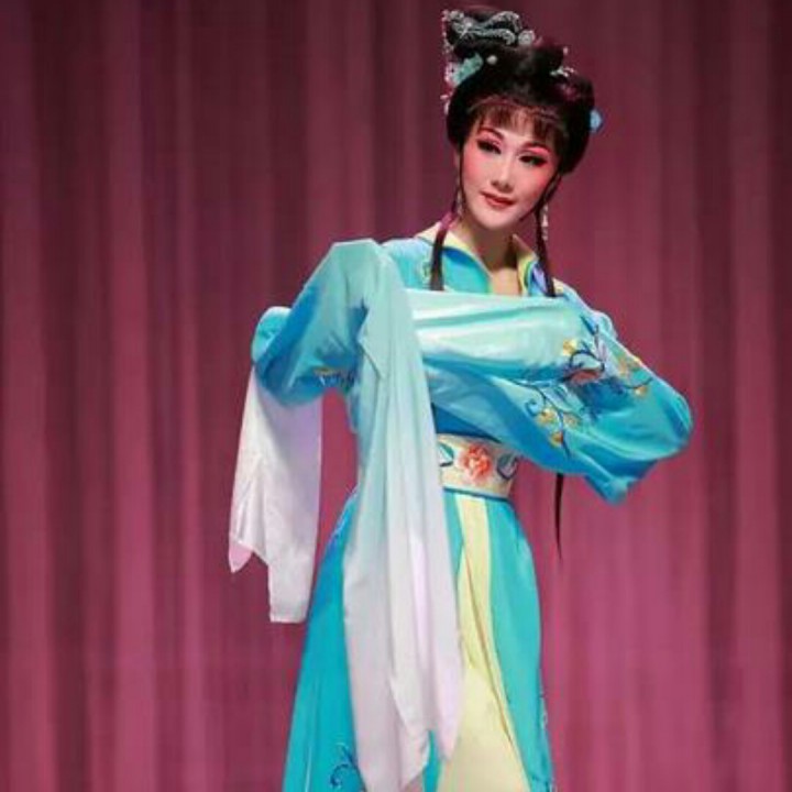 淮剧打金枝选段唐君蕊头戴翠冠凤展翅