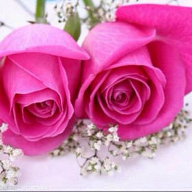 相逢是首歌 - 【我的心锁】北雪 - 唱吧,听见歌声