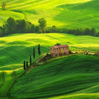 小三续集 dj 何鹏 何文昌上传【电音版】 - tiany