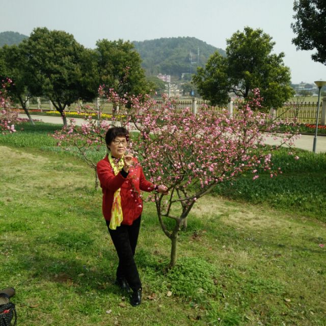 越剧血手印 法场祭夫 毕戚对唱