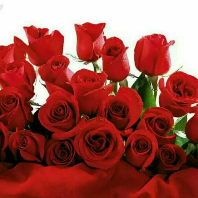 谁想轻轻偷走我的吻 - 唱吧,听见歌声遇见你