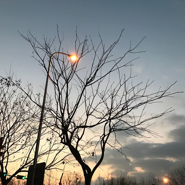 你有多久没有看过星星