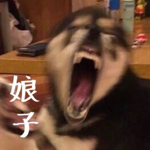 681731882_640_640.jpg