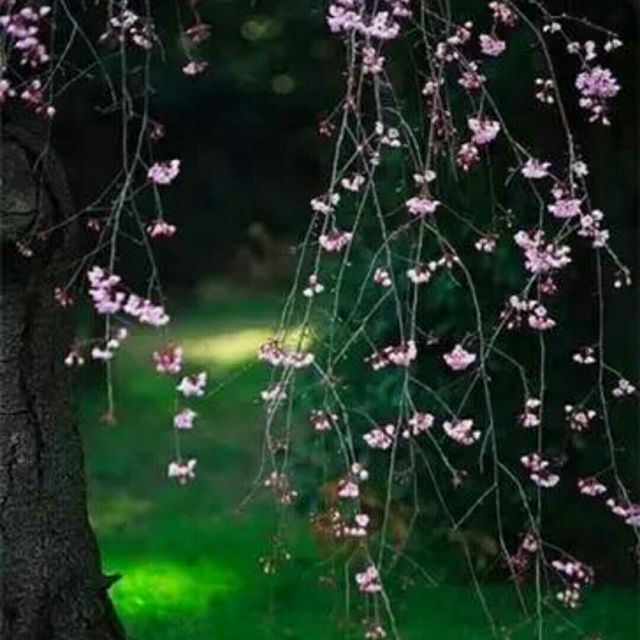 我在红尘中遇见你