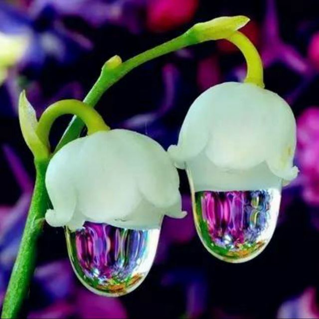 爱是你给我的毒【动感狂潮扬帆专属】 唱吧,最