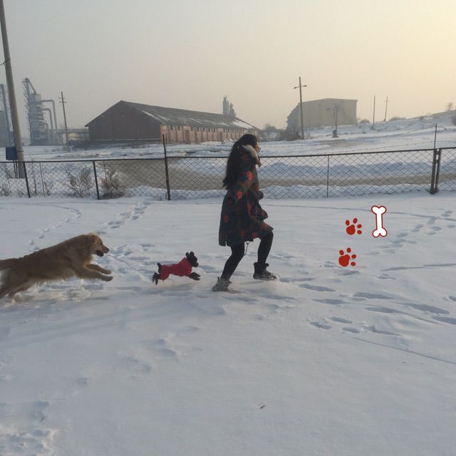 数鸭子【无损伴奏】