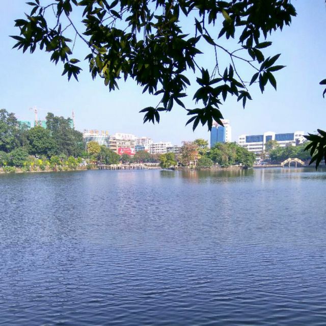 友谊之光 粤语版