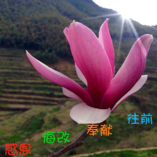 2017年夏季训练标语诗歌