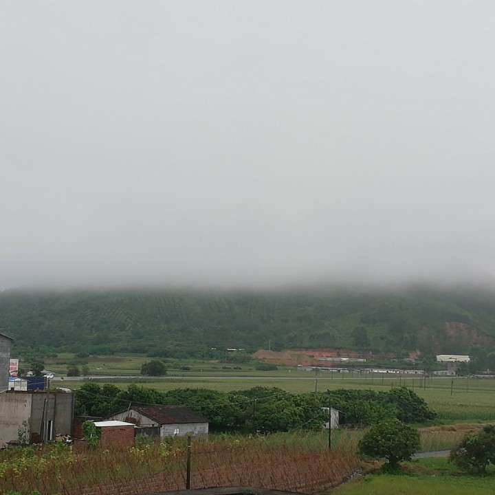 爱在地球毁灭时