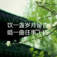 用爱将心偷曲谱_用爱将心偷图片