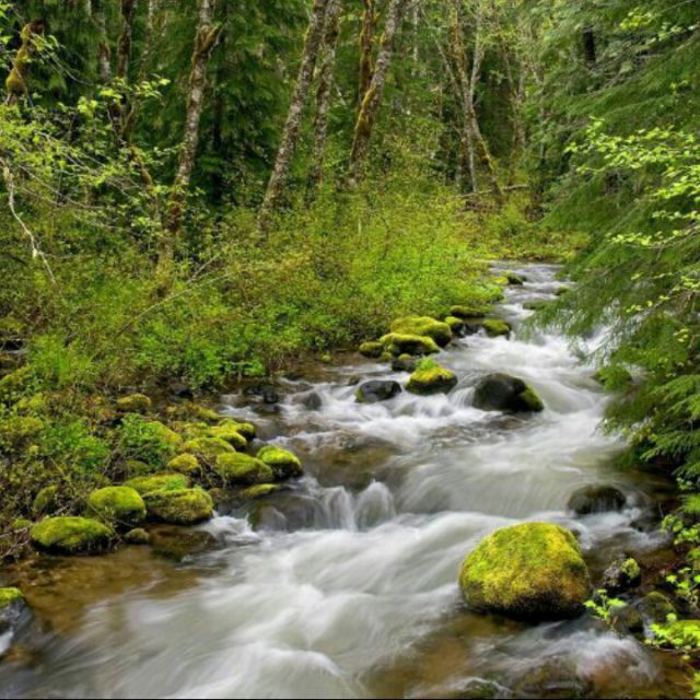 汉语四六级考题【搞笑段子】 - 东北乱炖. 唱吧