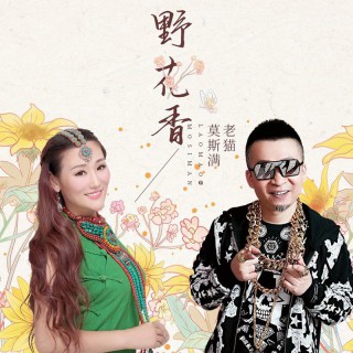 野花香【dj何鹏版】