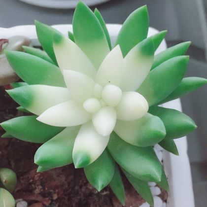 他们说【电视剧 龙门镖局为2归来 主题曲】