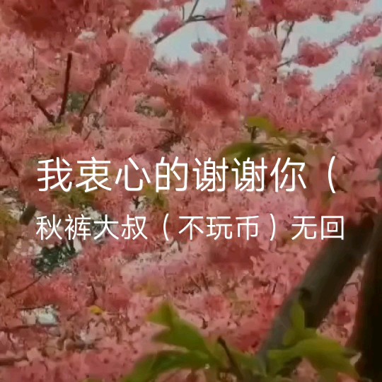 我衷心的谢谢你(致唱吧歌友)【大龙女】