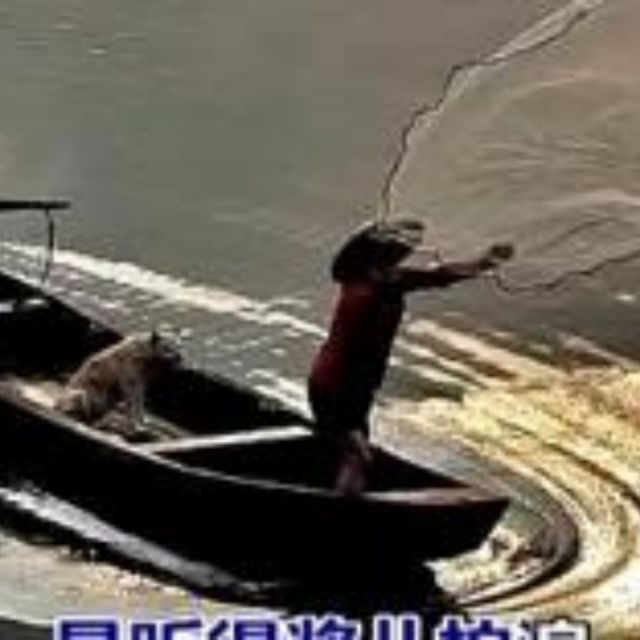 黄河渔娘【原版】