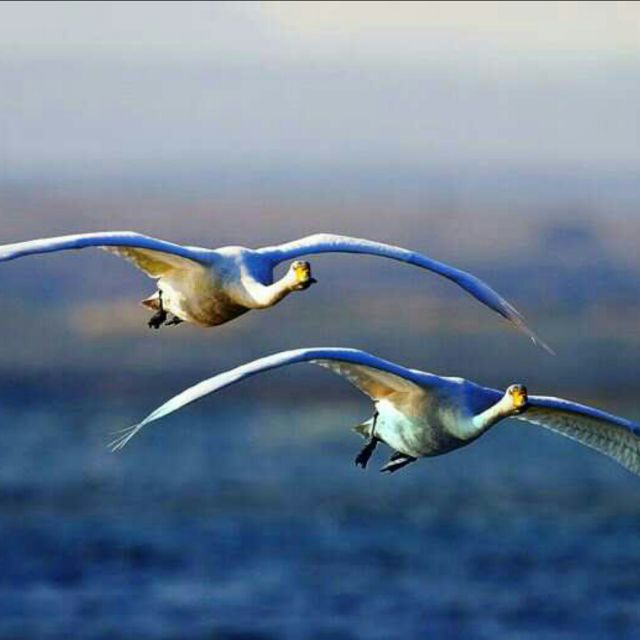 踏浪【合唱版(徐杰制作)】 - 唱吧,听见歌声遇见