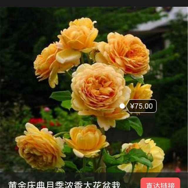 我在回家的路上等你