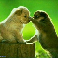 我的泪为了谁 - 黄翠艳丽 唱吧,听见歌声遇见你