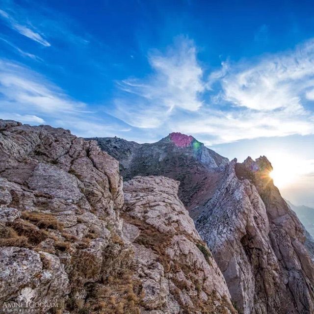 文殊师利祈请颂