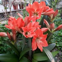 爱歌【潮剧《春香传》选段】 - 高山流水610 唱