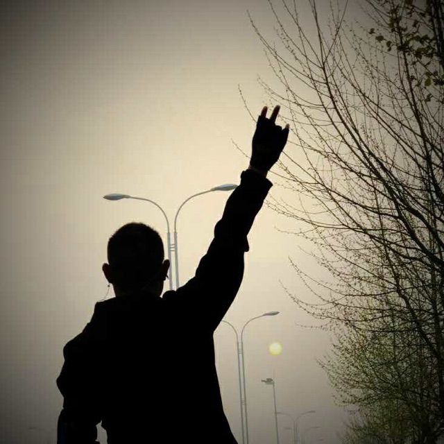 红尘来去一场梦