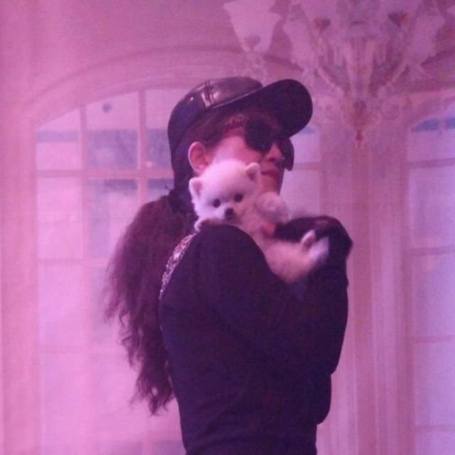 The mouse love the rice【老鼠爱大米英文版】