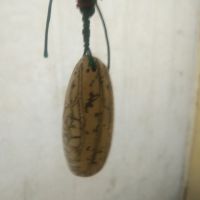 我的泪是为了谁 甜蜜【完美版】 - 甜蜜的微笑