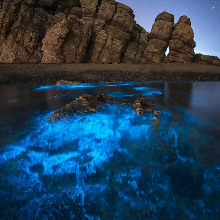 你一定要是个孩子【蓝调口琴网】