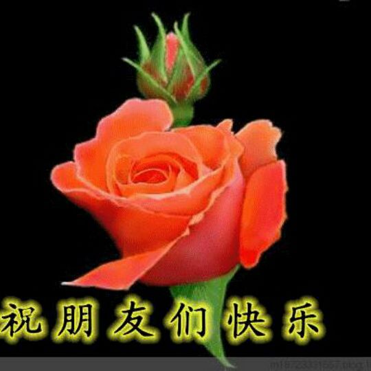 舞女泪原版伴奏【原版】