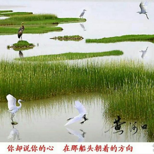 黄河渔娘【原版】