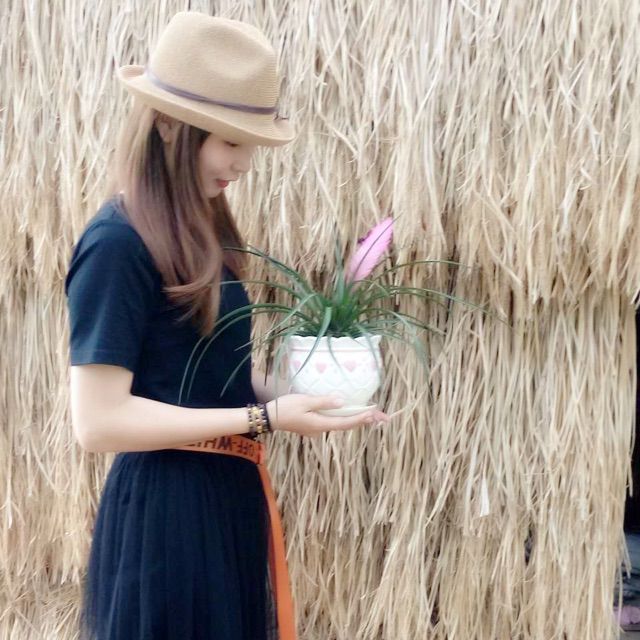 我家有个小九妹简谱_我和我的祖国简谱
