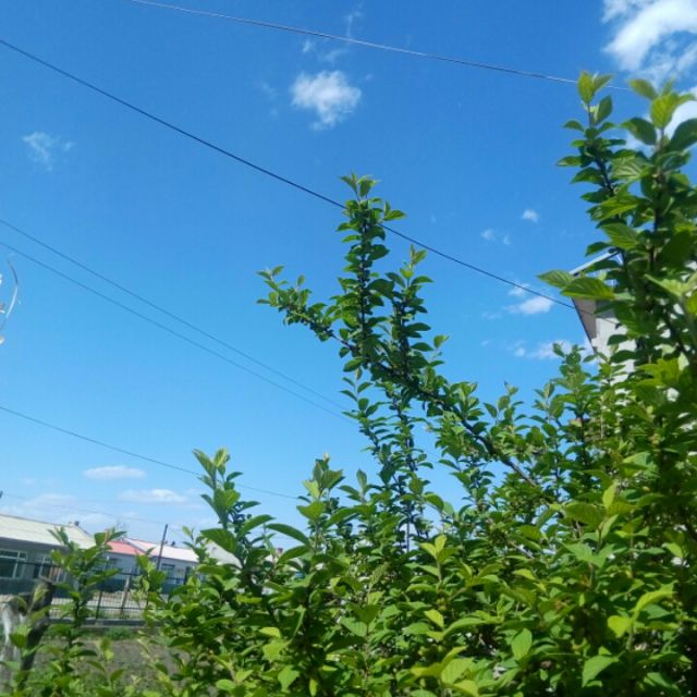 太想念【原唱版】 - 牵手一生 - 唱吧,听见歌声遇