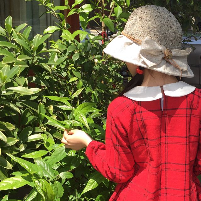 想做你的疯女孩【晴】