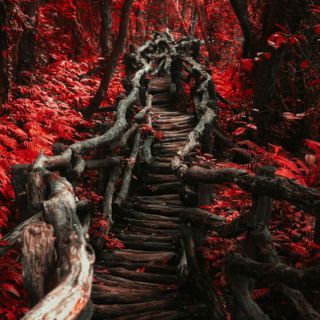 战争世界【原版伴奏】 - 潋墨妫璃 - 唱吧,玩音乐